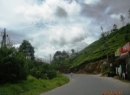 Ratnapura Tea land for sale/rent